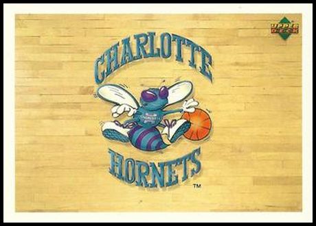 91UDII 133 Charlotte Hornets Logo.jpg